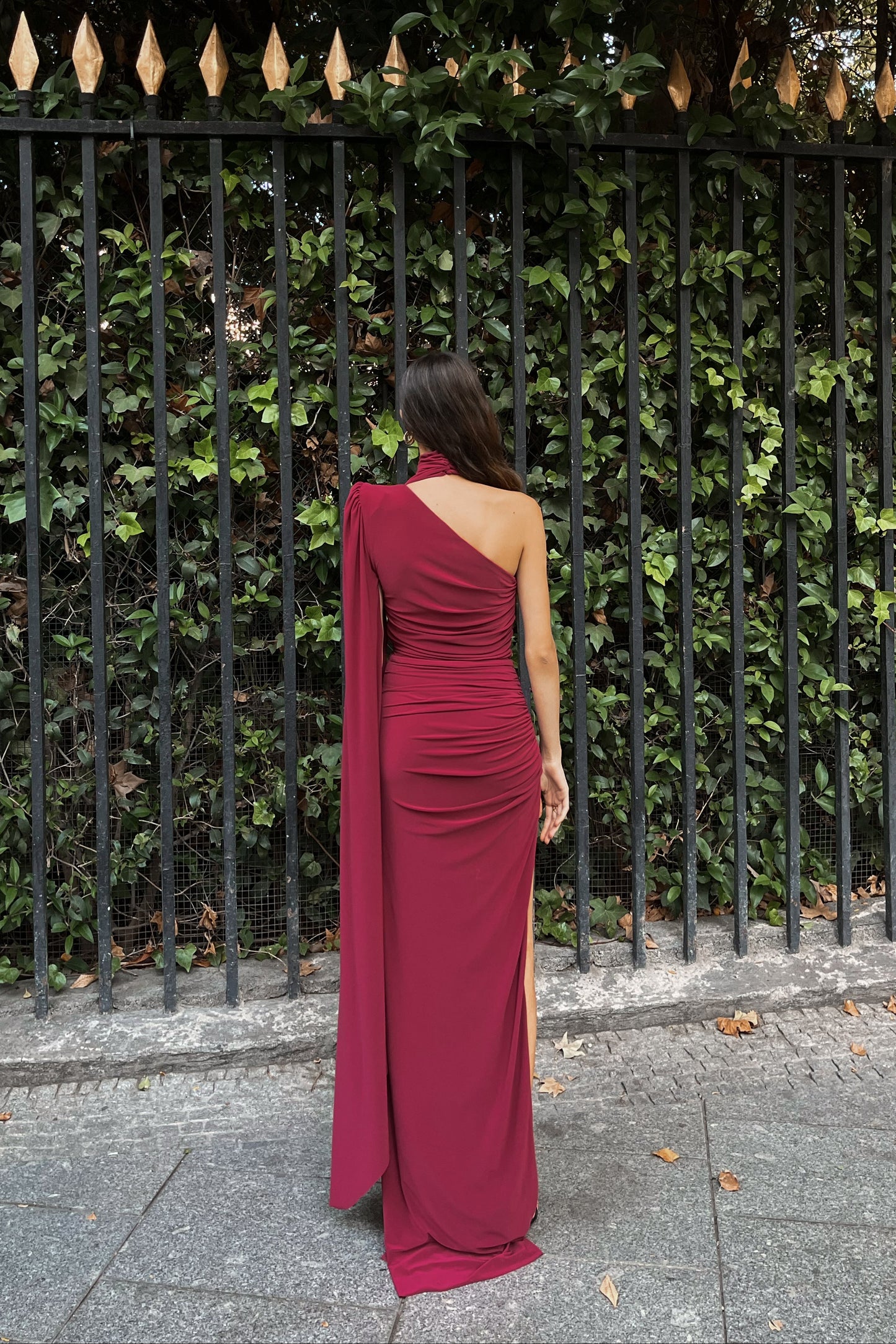 Sophia Burgundy Dress