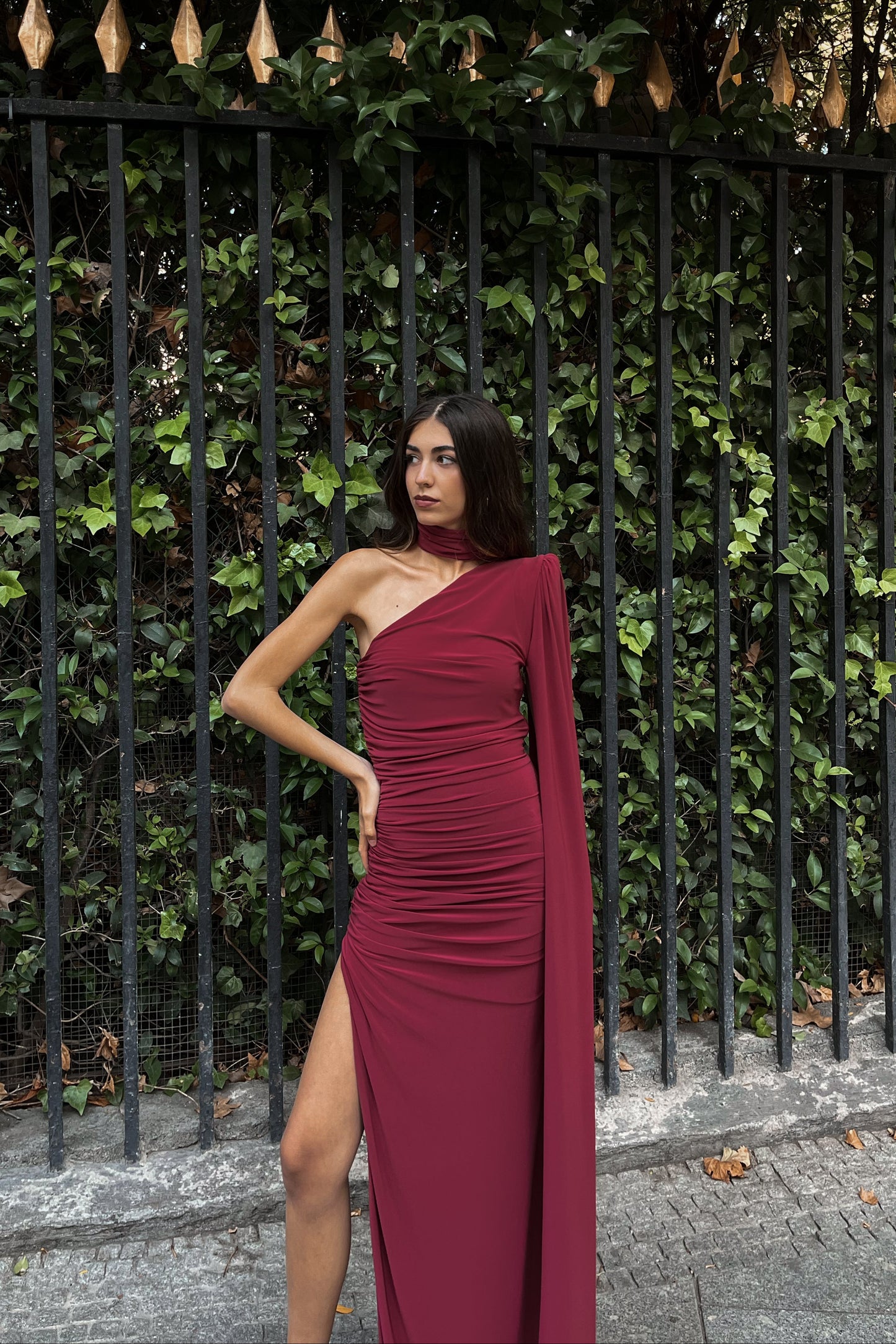Sophia Burgundy Dress