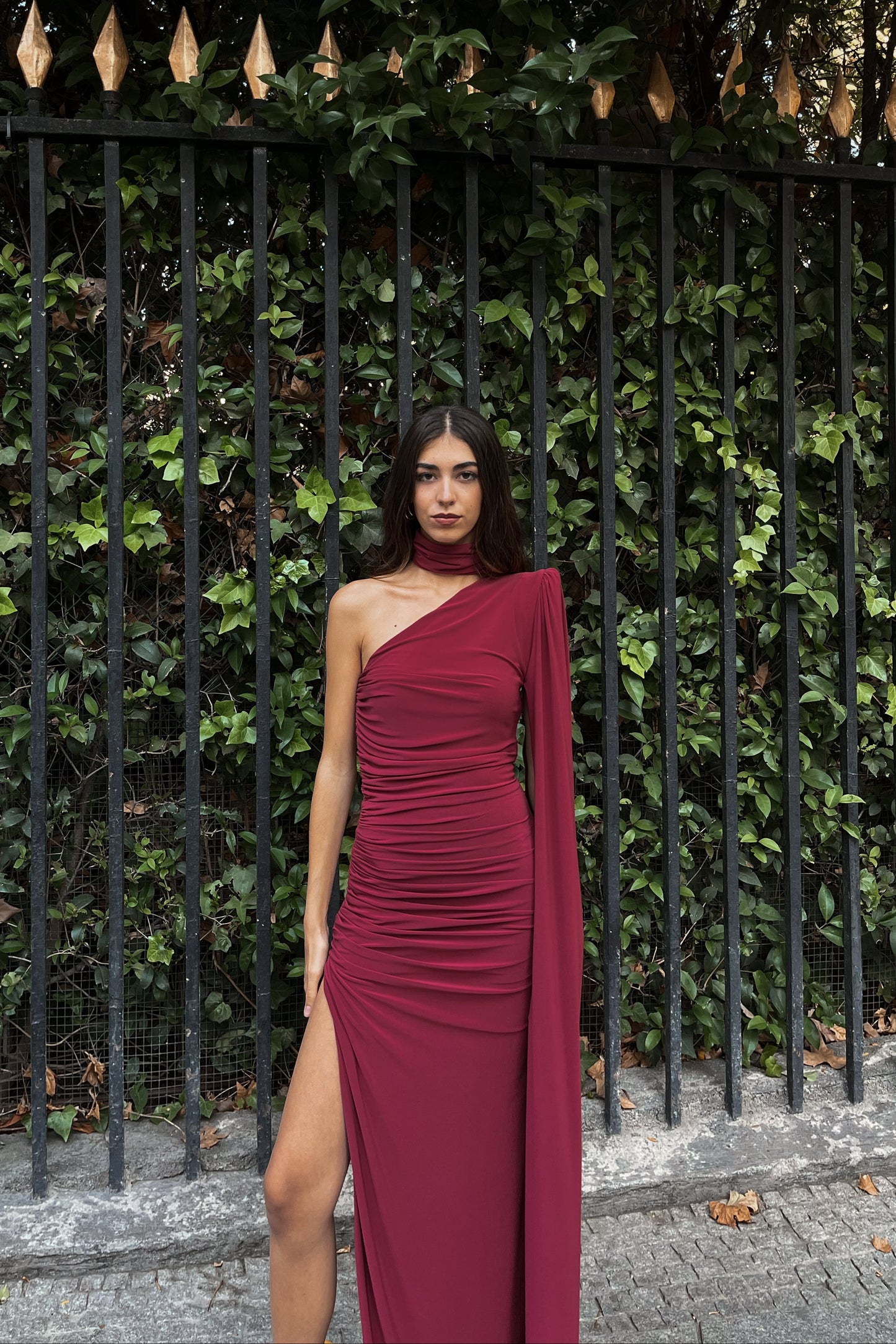 Sophia Burgundy Dress